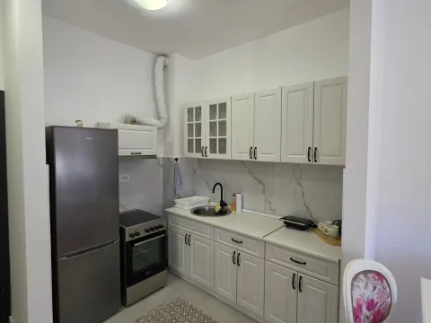 Izdavanje, jednosoban stan, 46m², Zabjelo, Podgorica - image 3