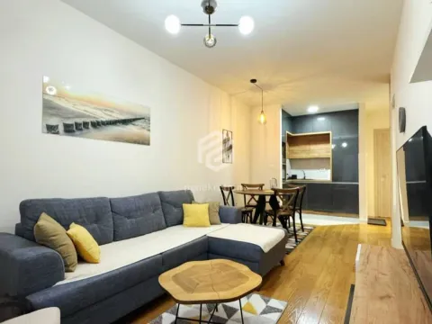 Izdavanje, jednosoban stan, 43m², Central Point, Podgorica - image 2