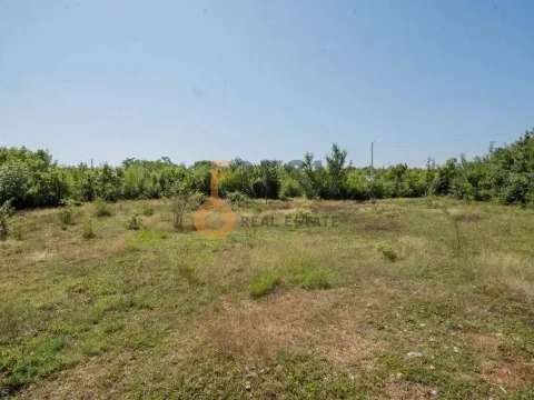 Prodaja, plac, 2100m², Danilovgrad, Crna Gora - image 7