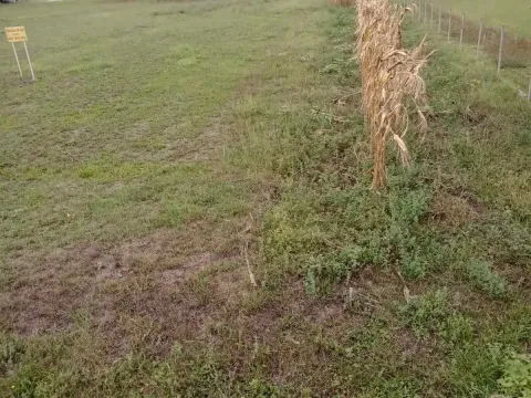 Prodaja, plac, 4755m², Centar, Danilovgrad - image 2