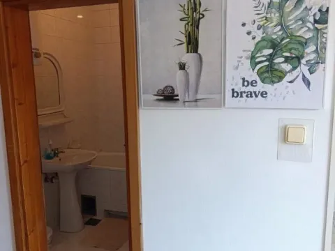 Izdavanje, garsonjera, 24m², Grbavica, Novi Sad Sve Podlokacije - image 11