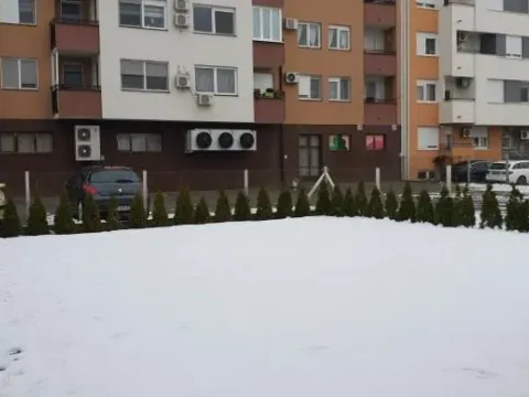 Prodaja, kuća, 280m², Telep, Novi Sad Sve Podlokacije - image 7