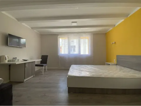 Prodaja, poslovni prostor, 250m², Niš, Srbija - image 22