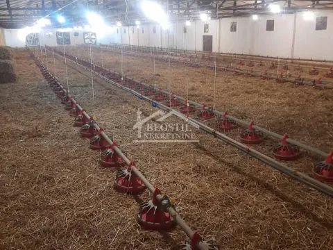 Prodaja, poslovni prostor, 800m², Umčari, Grocka - image 2