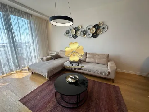 Izdavanje, jednosoban stan, 56m², Podgorica, Crna Gora - image 2