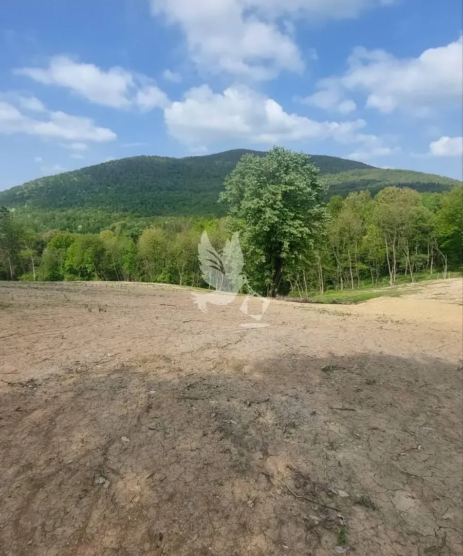 Prodaja, plac, 14000m², Kosmaj, Sopot