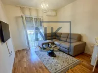 Izdavanje, jednosoban stan, 40m², Tuški Put, Podgorica - image 1