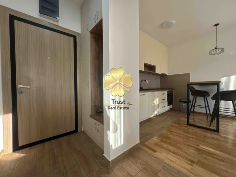 Izdavanje, jednosoban stan, 40m², Zabjelo, Podgorica - image 6