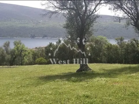 Prodaja, plac, 7560m², Đenovići, Herceg Novi - image 2
