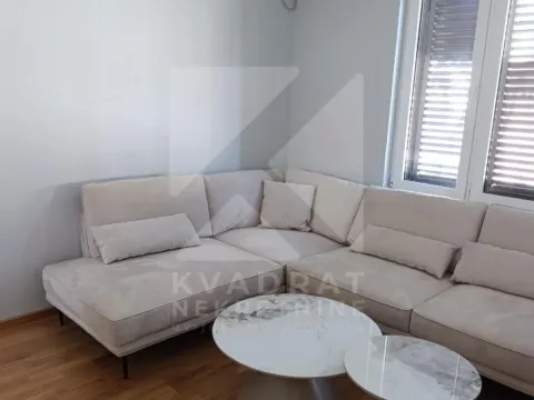 Izdavanje, dvosoban stan, 80m², Gintaš, Podgorica - image 5