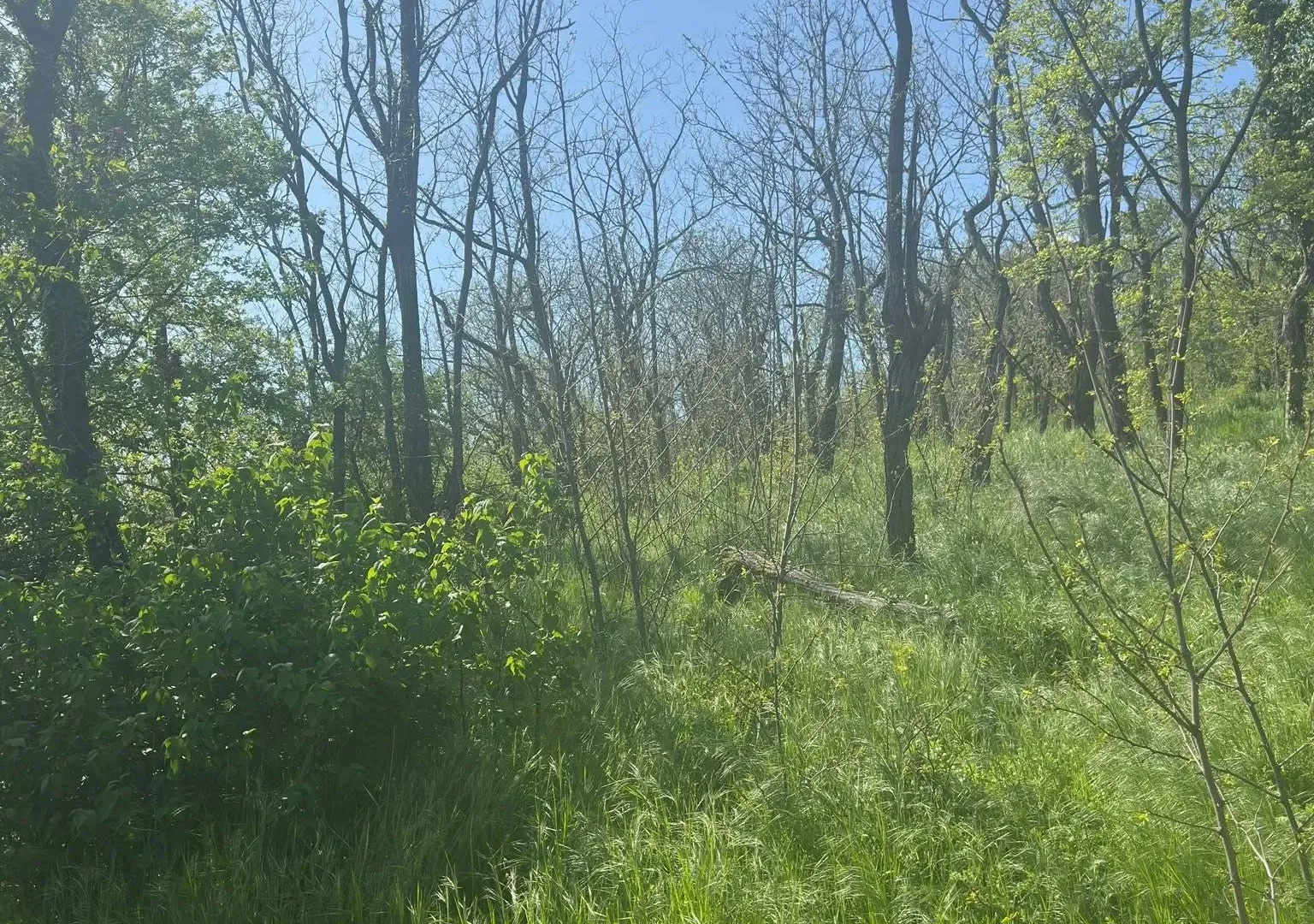 Prodaja, plac, 300m², Vršac, Srbija