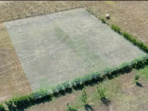 Sale, land lot, 840m², Begovina, Danilovgrad - image 6