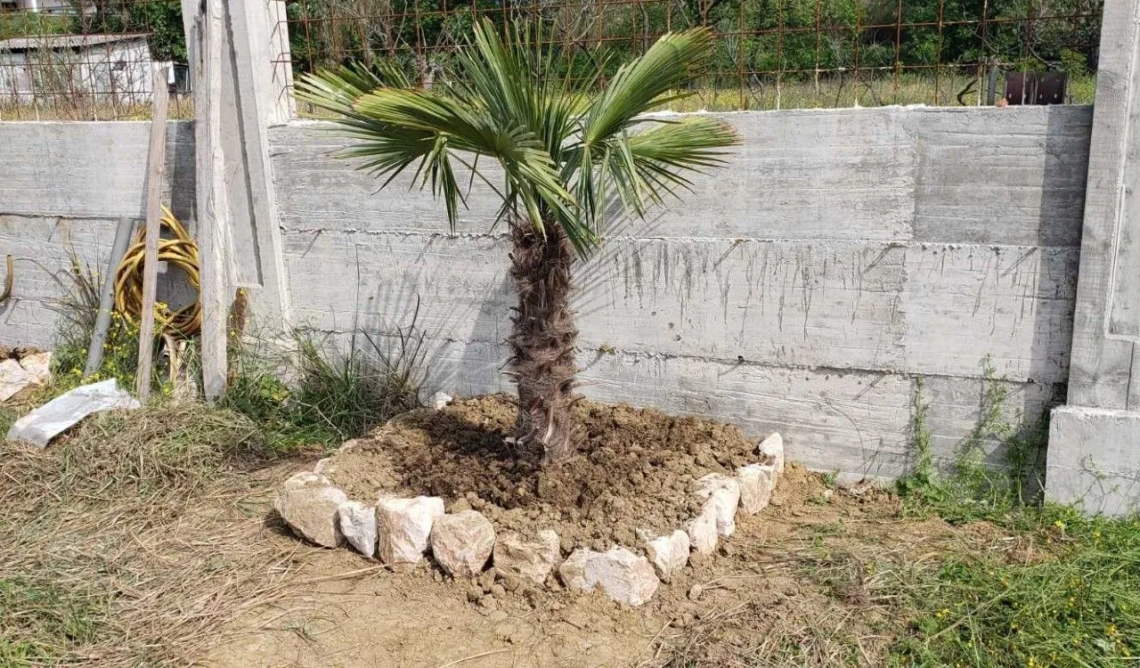 Prodaja, plac, 1000m², Bar, Crna Gora