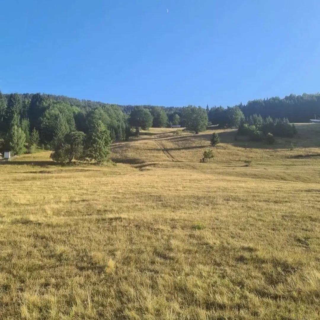 Prodaja, plac, 493m², Berane, Crna Gora