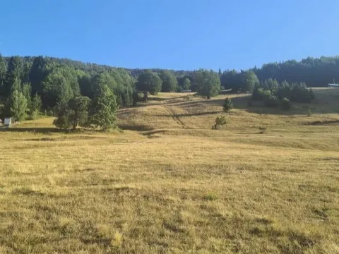 Prodaja, plac, 493m², Berane, Crna Gora - image 2