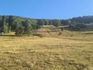 Sale, land lot, 493m², Berane, Crna Gora - image 2