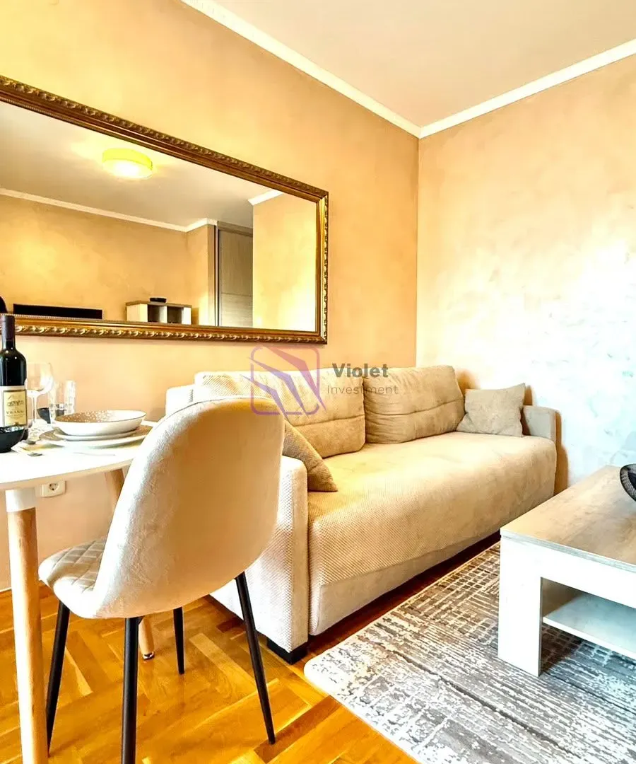 Rent, one bedroom apartment, 30m², Tuški Put, Podgorica