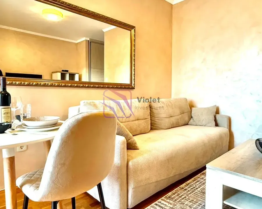 Rent, one bedroom apartment, 30m², Tuški Put, Podgorica