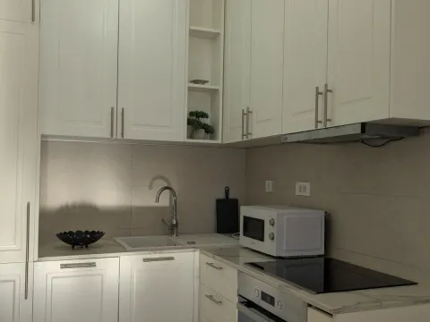 Izdavanje, jednosoban stan, 49m², Tološka šuma, Podgorica - image 4