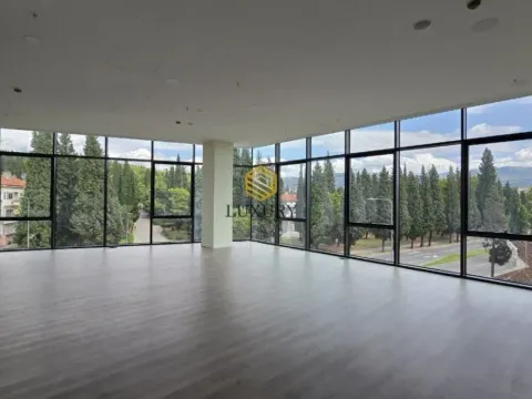 Rent, office space, 2542m², Centar, Podgorica - image 12