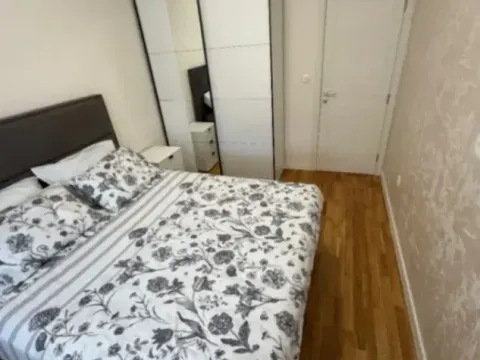 Izdavanje, jednosoban stan, 45m², Zabjelo, Podgorica - image 8