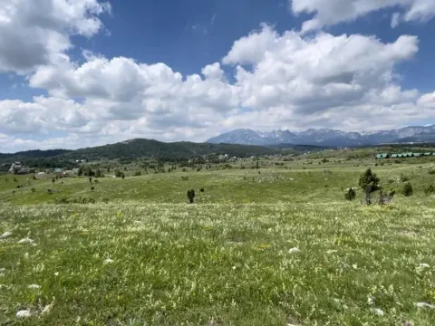 Prodaja, zemljište, 1000m2, Borje, Žabljak Prodaja, zemljište, 1000m2, Borje, Žabljak