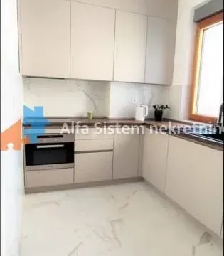 Izdavanje, stan, 231m², Vračar Hram, Vračar Sve Podlokacije - image 6