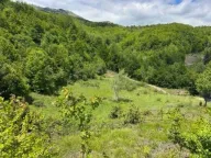 Sale, land lot, 31203m², Žirci, Kolašin - image 2