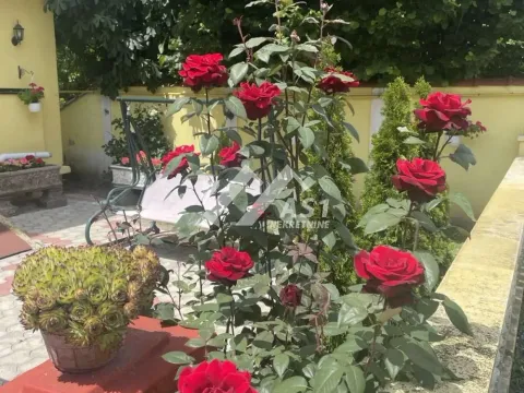 Rent, four bedroom apartment, 100m², Adice, Novi Sad Sve Podlokacije - image 10