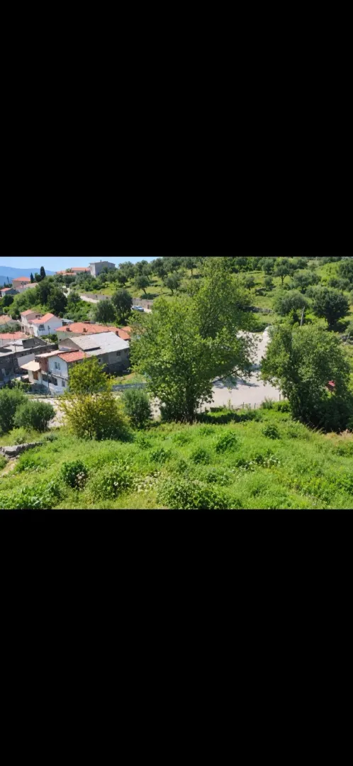 Pogled na okolno zelenilo i naselje sa placa.