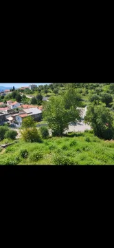 Pogled na okolno zelenilo i naselje sa placa. - image 2