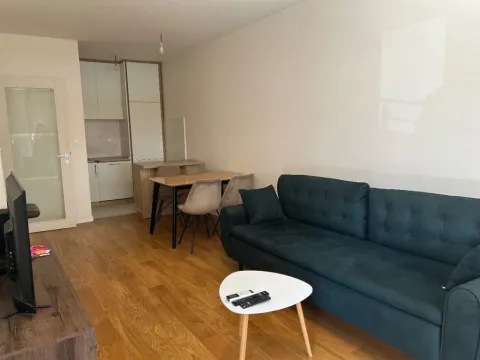 Izdavanje, jednosoban stan, 47m², Central Point, Podgorica - image 4