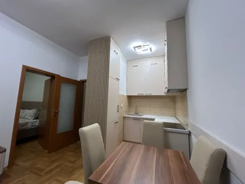 Izdavanje, jednosoban stan, 45m², Tuški Put, Podgorica - image 4