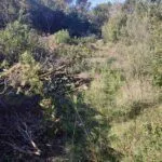 Prodaja, plac, 1290m², Kotor, Crna Gora - image 3