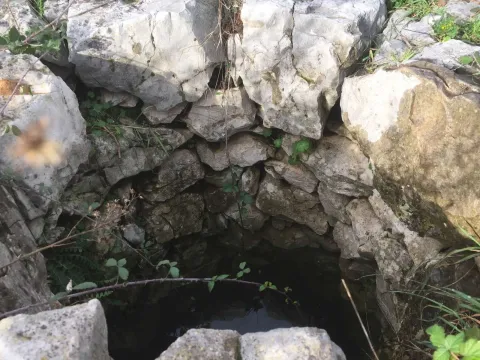 Sale, land lot, 68422m², Gornji Štoj, Ulcinj - image 5