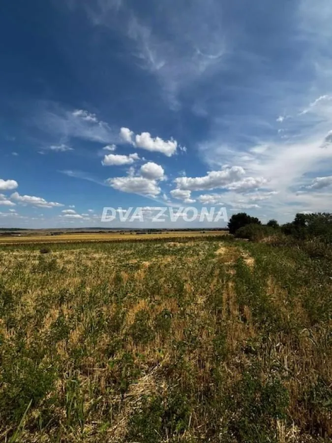 Prodaja, plac, 11510m², Čortanovci, Inđija