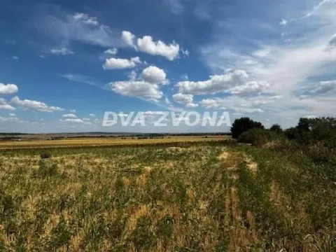 Sale, land lot, 11510m², Čortanovci, Inđija - image 4