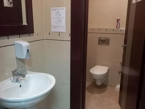 Izdavanje, poslovni prostor, 215m², Botanička Bašta, Palilula Sve Podlokacije - image 10