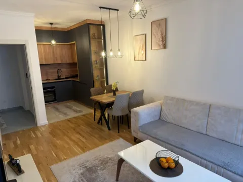 Rent, one bedroom apartment, 42m², Stari Aerodrom, Podgorica - image 2