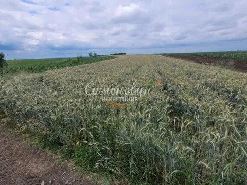 Prodaja, plac, 2200m², Zemun Ugrinovci, Zemun Sve Podlokacije - image 2