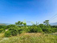 Sale, land lot, 3000m², Novo Selo, Danilovgrad - image 1