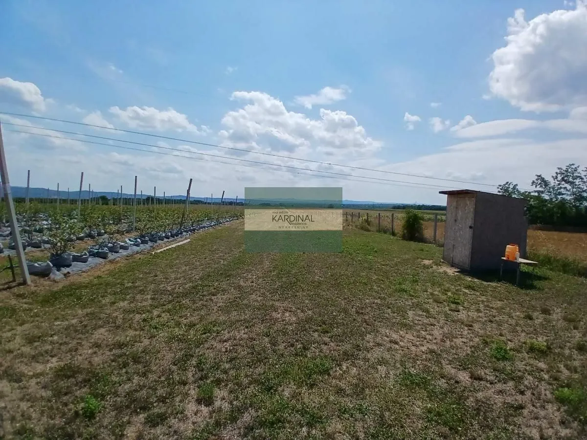 Prodaja, plac, 285100m², Medjureč, Jagodina