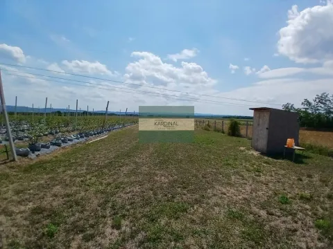 Prodaja, plac, 285100m², Medjureč, Jagodina - image 4
