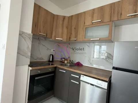 Izdavanje, jednosoban stan, 38m², 1 maj, Podgorica - image 4