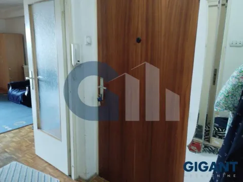 Prodaja, jednosoban stan, 57m², Botanička Bašta, Palilula Sve Podlokacije - image 7