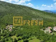 Prodaja, plac, 21460m², Beri, Podgorica - image 2