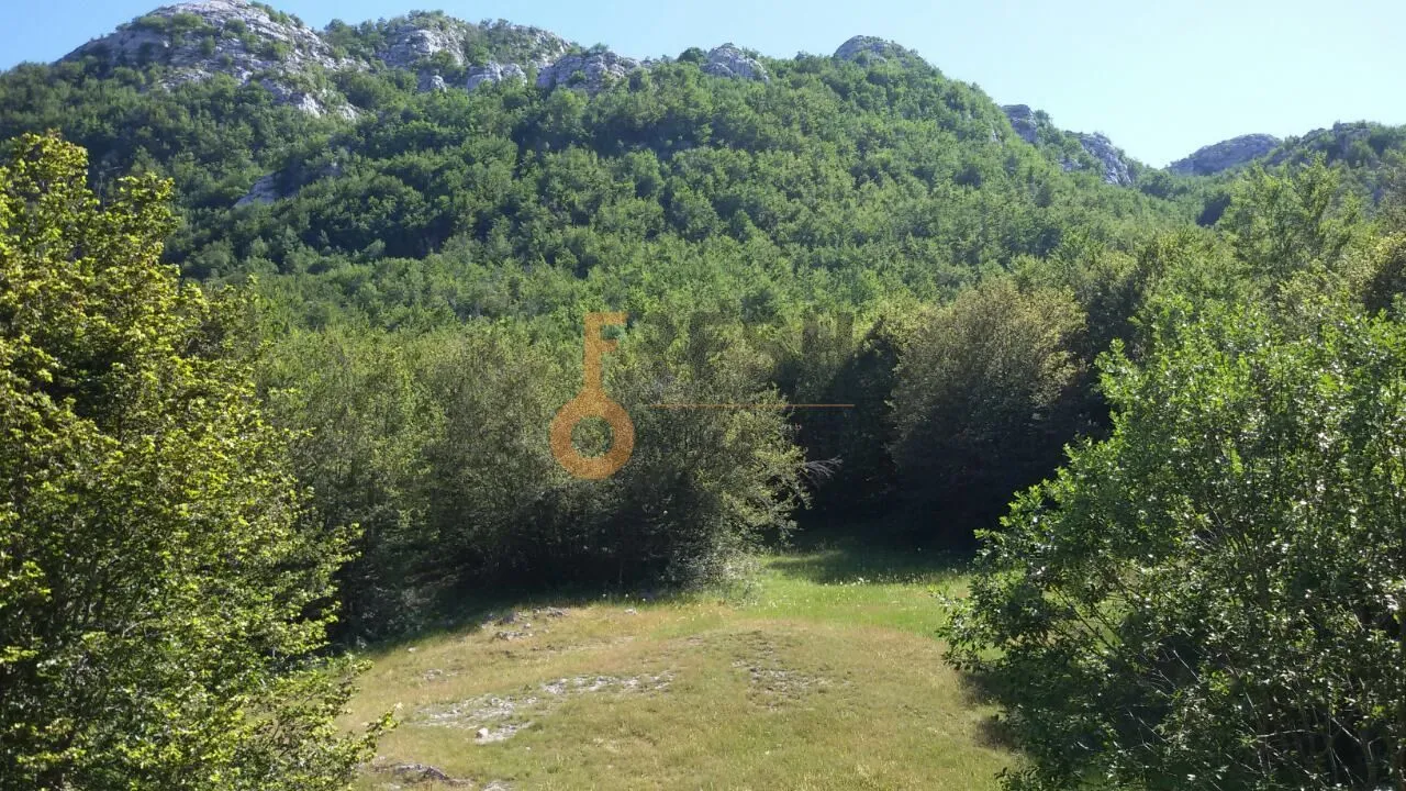 Prodaja, plac, 100000m², Cetinje, Crna Gora