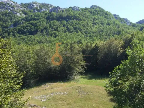 Prodaja, plac, 100000m², Cetinje, Crna Gora - image 3
