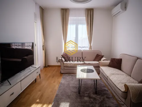 Rent, one bedroom apartment, 45m², Stari Aerodrom, Podgorica - image 2