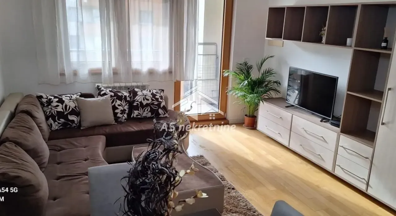 Izdavanje, dvosoban stan, 55m², Novi Beograd Blok 67, Novi Beograd Sve Podlokacije